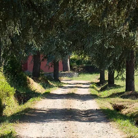Tra Cielo E Mare